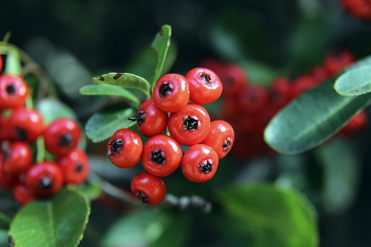 功的教练 功的教练