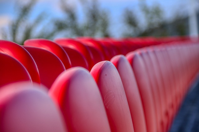 與鮑威爾的 與鮑威爾的