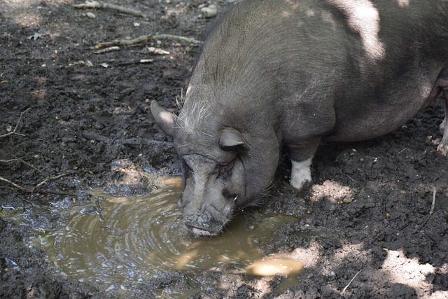 我真的想就